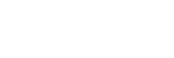 CER Dinamo